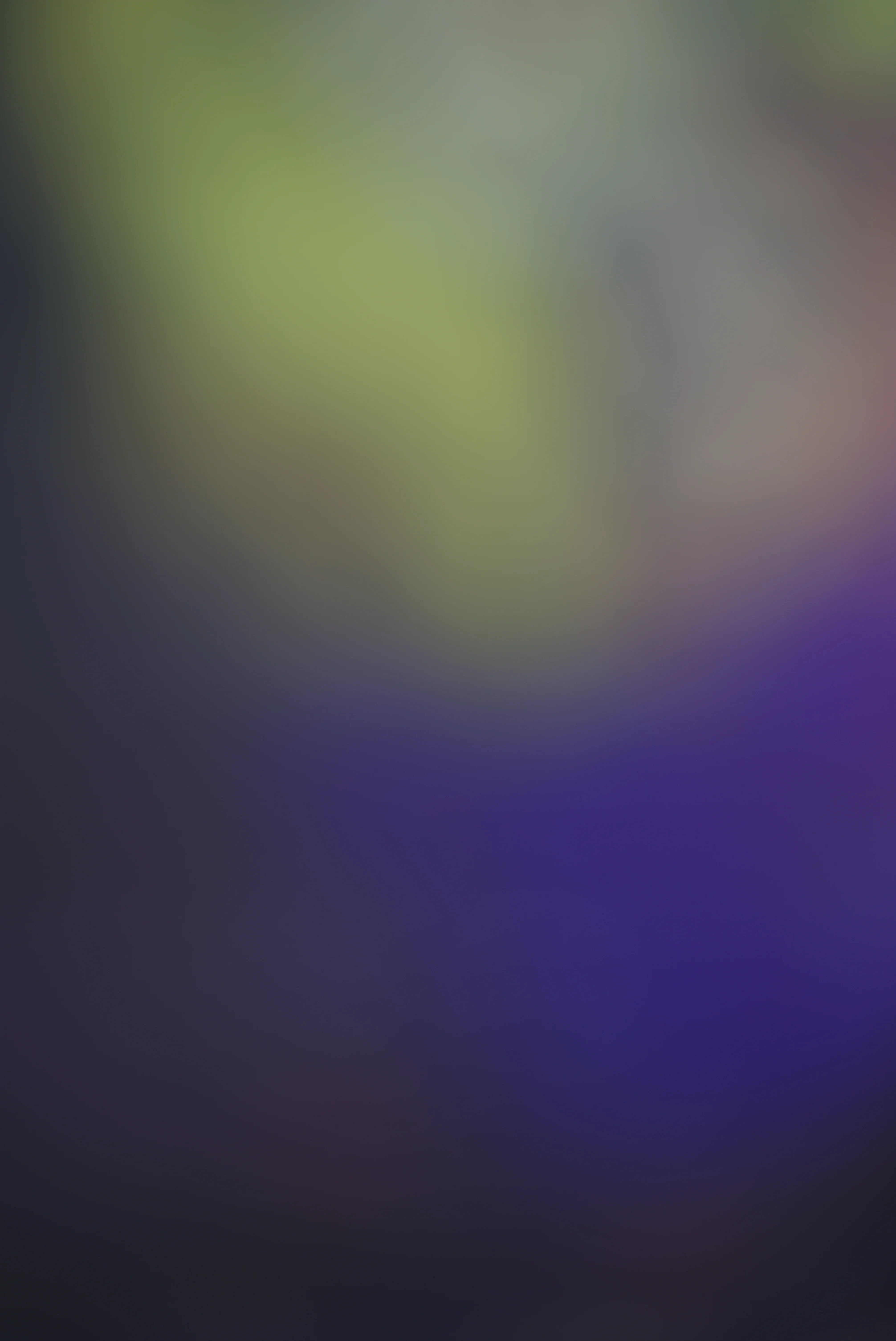 Colors 7