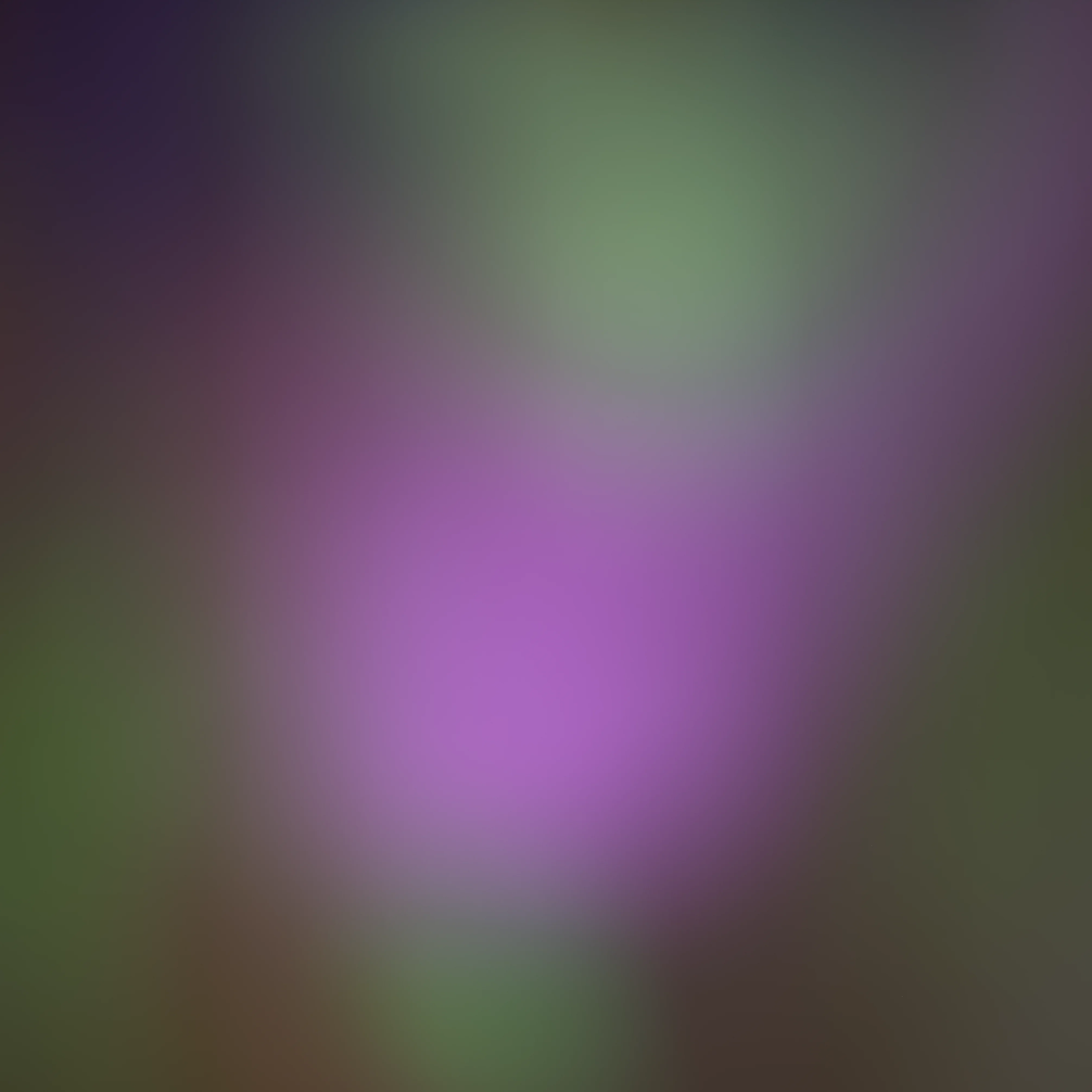 Colors 13