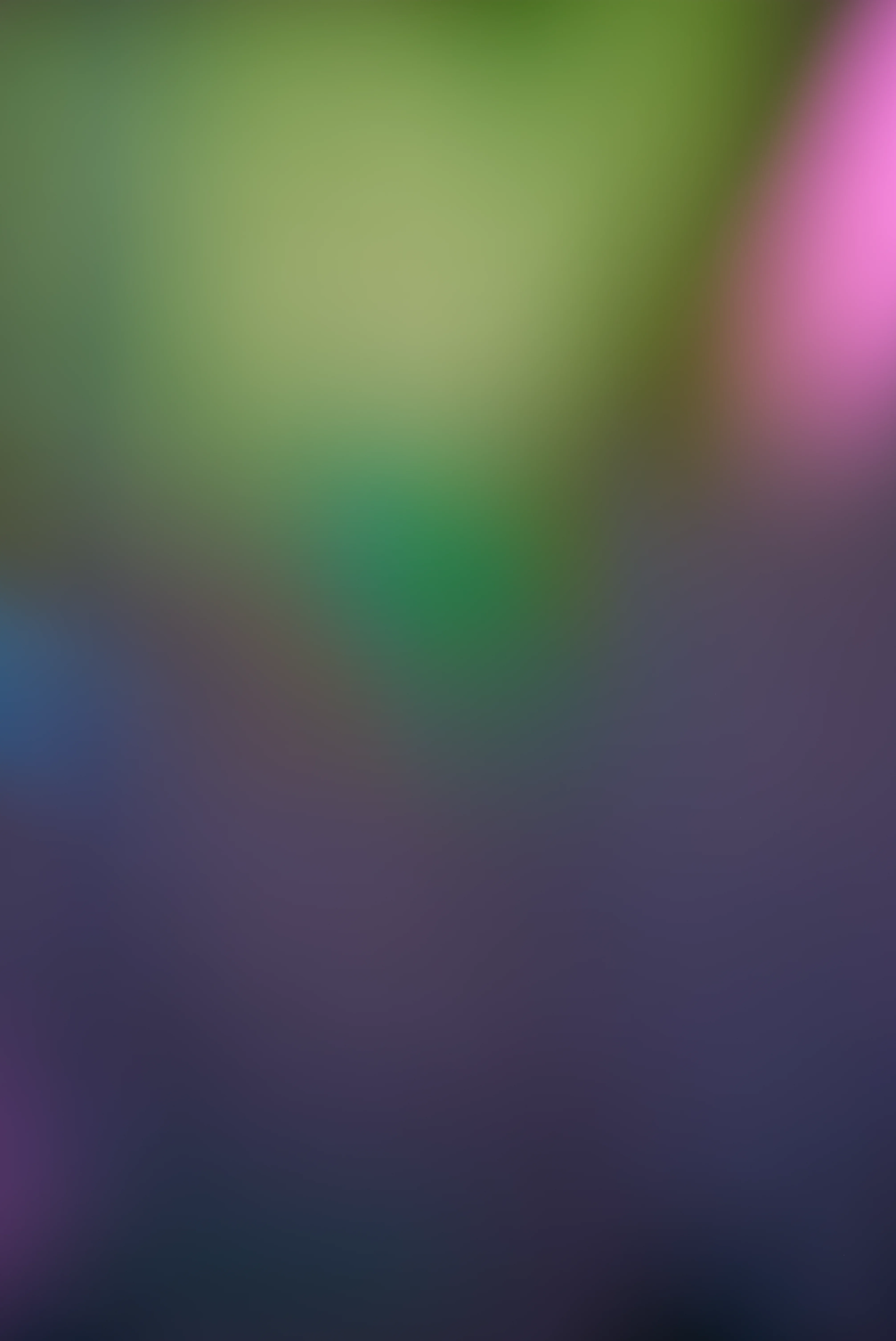 Colors 12