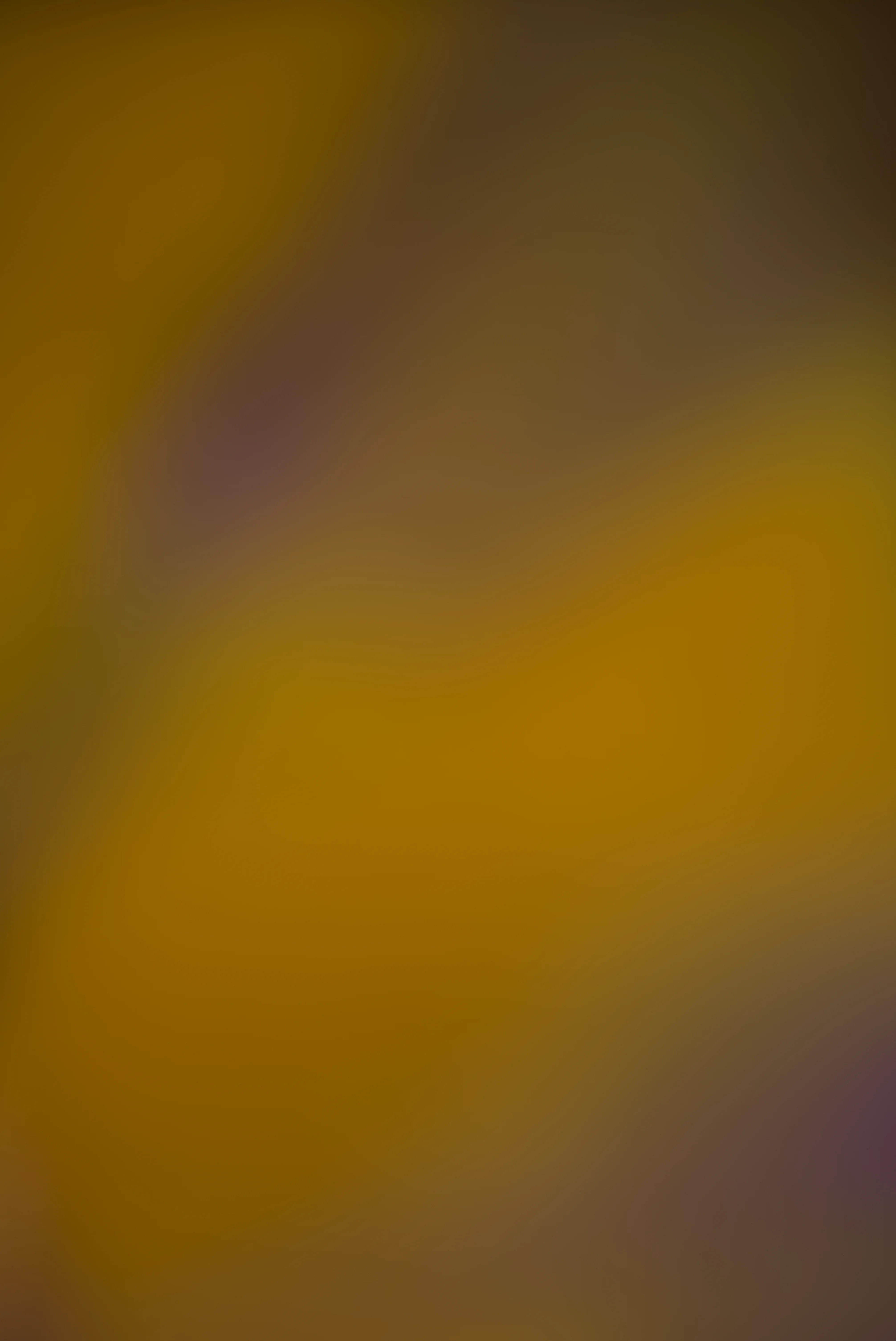 Colors 6