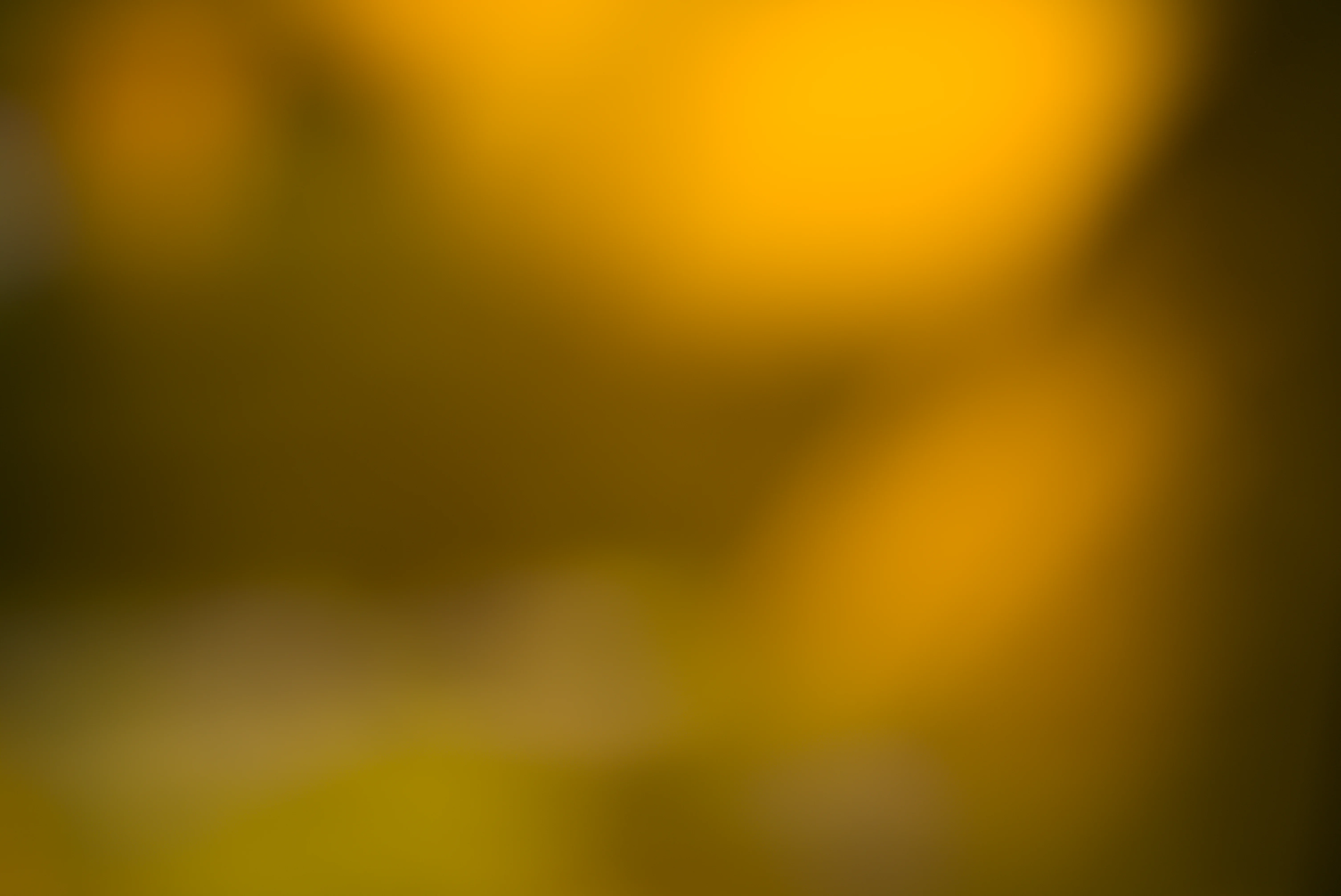 Colors 4