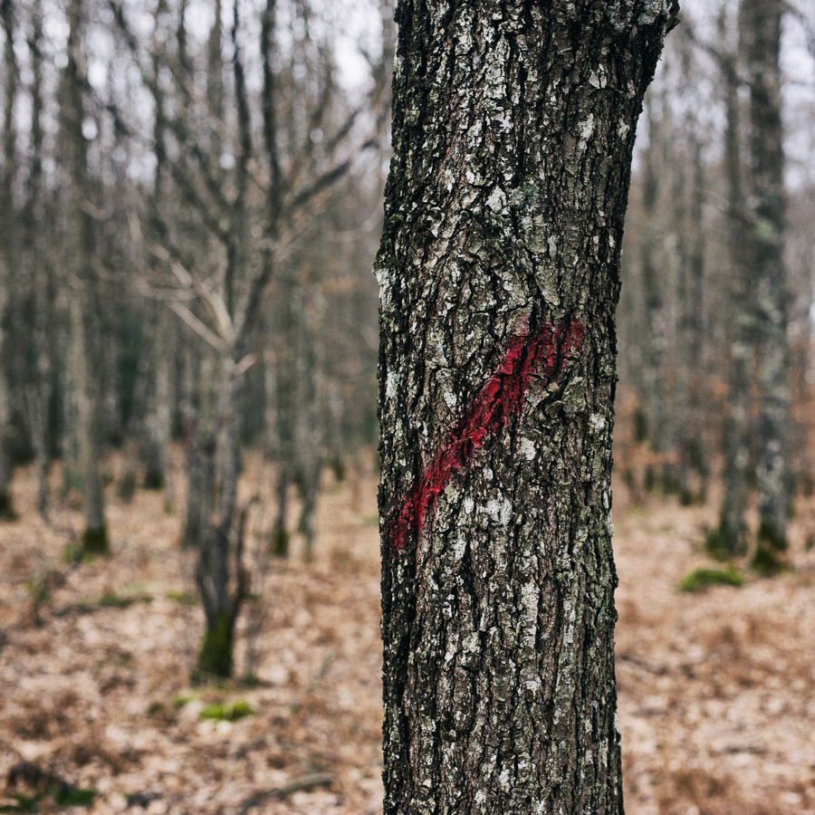 The Hunters 33