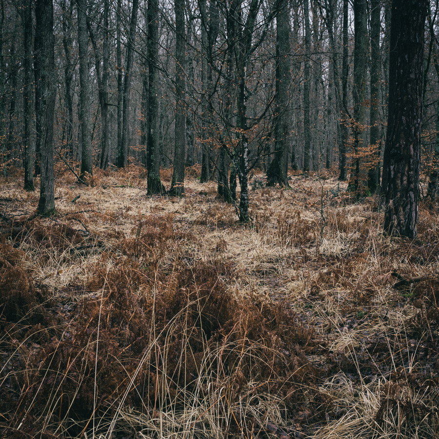 The Hunters 19